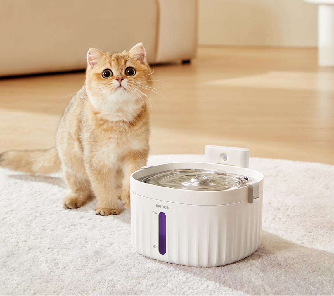 MEOOF Unplugged cat water dispenser wireless automatic circulation filter pet dog silent water feeder-Make In China