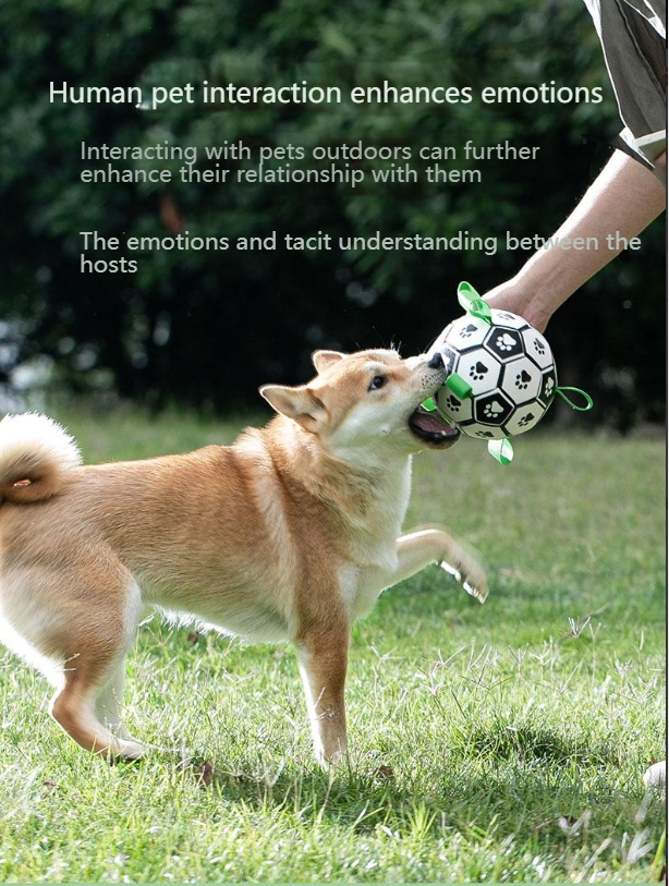 hipidogDog football toy training interactive border collie corgi rubber ball self-hi teeth grinding and biting training 4360-Make In China
