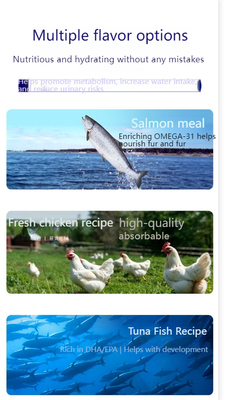 MYFOODIE Full price fresh meat staple food canned cat food 100g*60% kitten wet food easy to replenish water