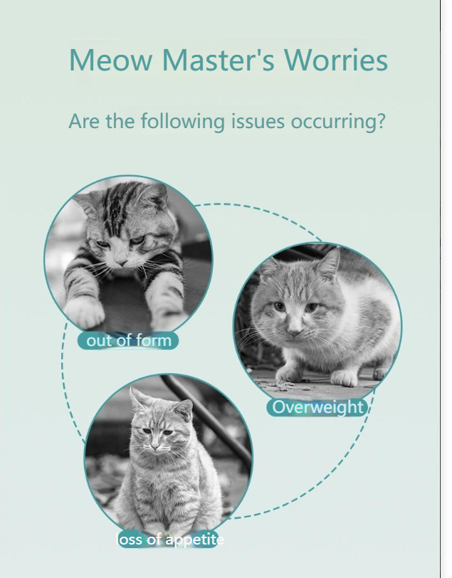 GUAZHOUMU Cat snacks, mint cat biscuits, teeth grinding, teeth health, cat grass, healthy hair removal, hair ball cleaning, nutrition absorption reward-Make In China