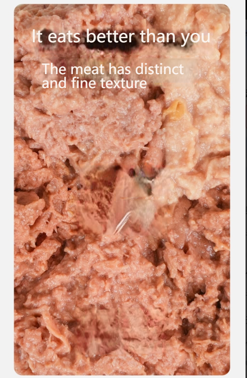 [Five kinds of meat wet food] XINLIANGSHUO wet food version of five kinds of meat Cats and dogs universal fresh meat hydrating nutrition interactive snacks