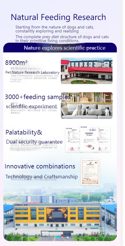 MYFOODIE Full price fresh meat staple food canned cat food 100g*60% kitten wet food easy to replenish water