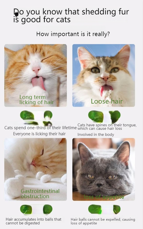 Cat grass chicken freeze-dried cat snacks to remove hair balls and molar sticks to nourish hair