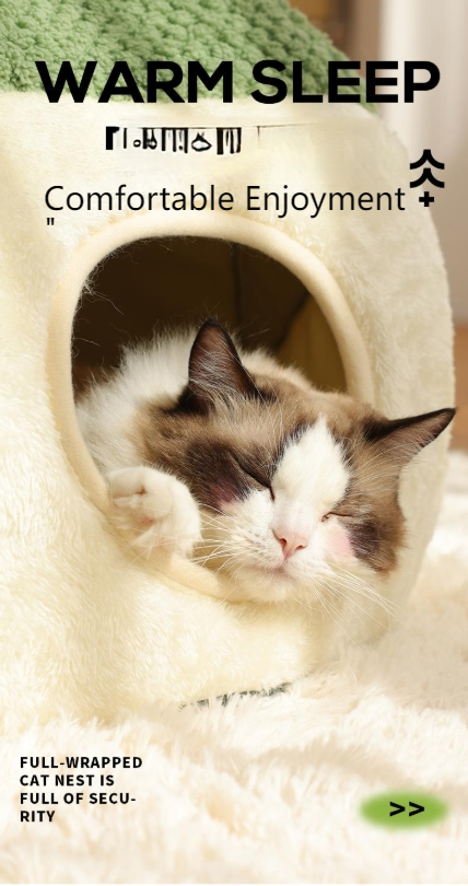 kimpets Cat bed four seasons universal cat and dog bed small dog teddy dog mat cute cat sleeping frog bed-Make In China