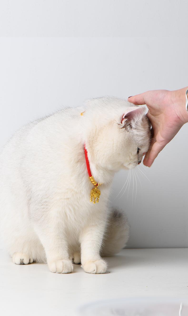 FUHUO High-value cat and dog accessories bell festive adjustable collar cat bow tie young cat pet supplies-Make In China