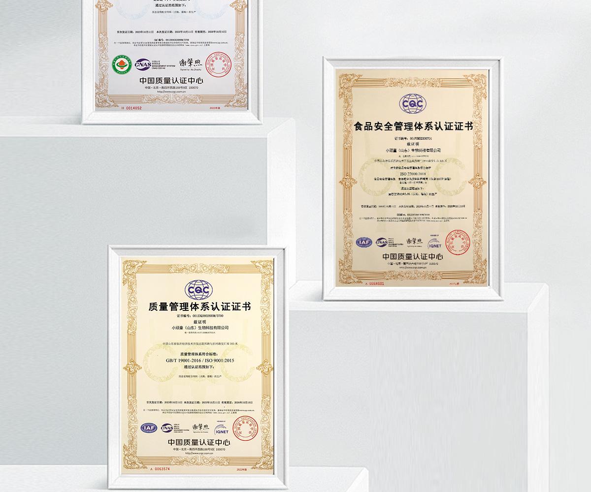 JOY PETS salmon fish oil Cat treat stick beauty hair skin care cat snacks pet supplies cat food pet wet food bag-Make In China