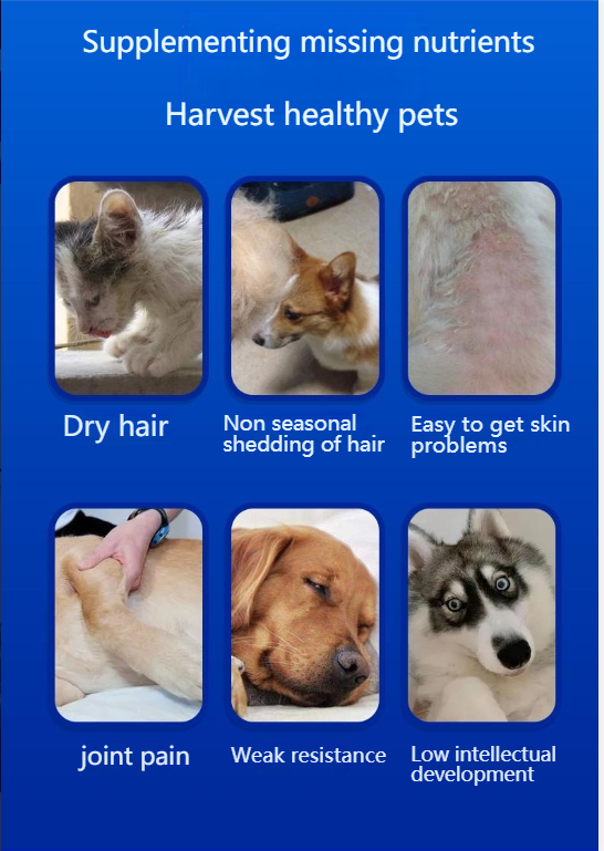 Petino[Pet Equipment] Pet deep sea fish oil tablets for cats and dogs to supplement nutrition, relieve hair loss and enhance health-Make In China