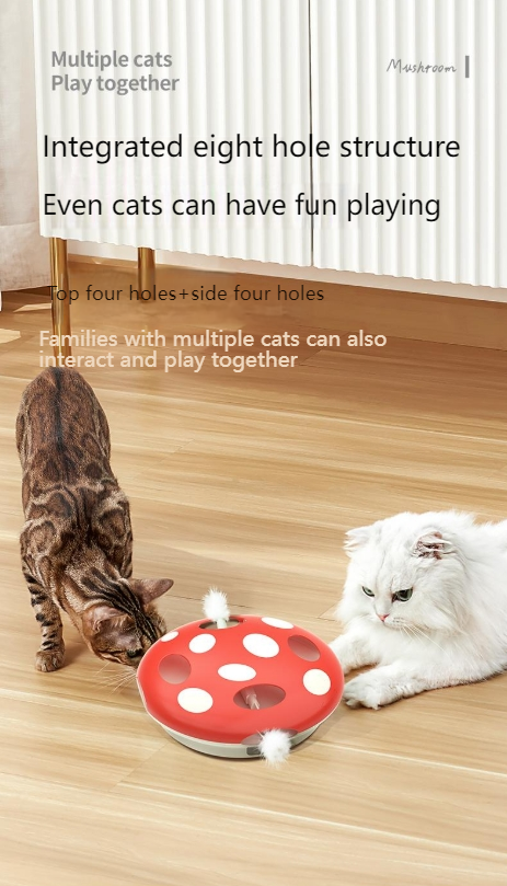 PAKEWAY Mushroom cat toy cat toy kitty toy smart cat cat toy self-entertainment toy-Make In China
