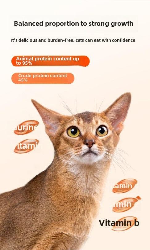 Main food cat food chicken fish meat moisturizing wet food soft canned food young cat interactive-Make In China