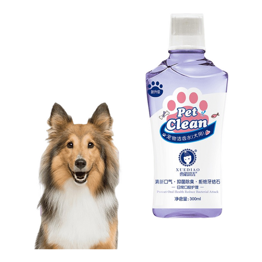 XUEDIAO 【Tooth cleaning water】Pet cat and dog tooth cleaning water mouthwash cleans the mouth and teeth antibacterial deodorant-Make In China
