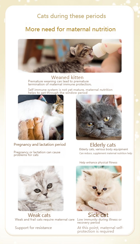 MYFOODIE Cat goat milk powder 10.58oz imported from the Netherlands, close to breast milk nutrition and easy to absorb