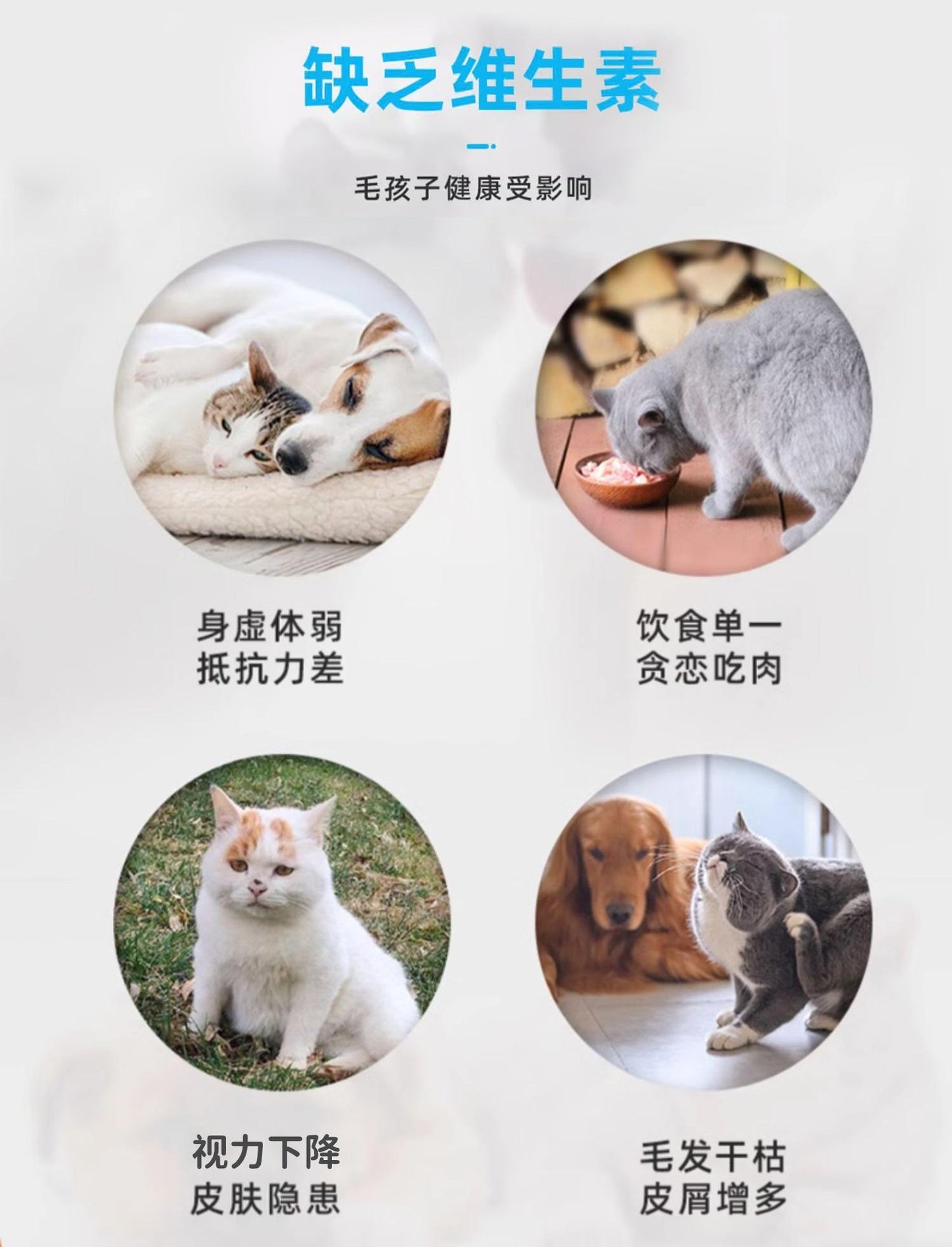 Petino [Super Value Event] Cats and Dogs Pet Vitamin Stage Nutritional Supplement 200 Tablets-Make In China