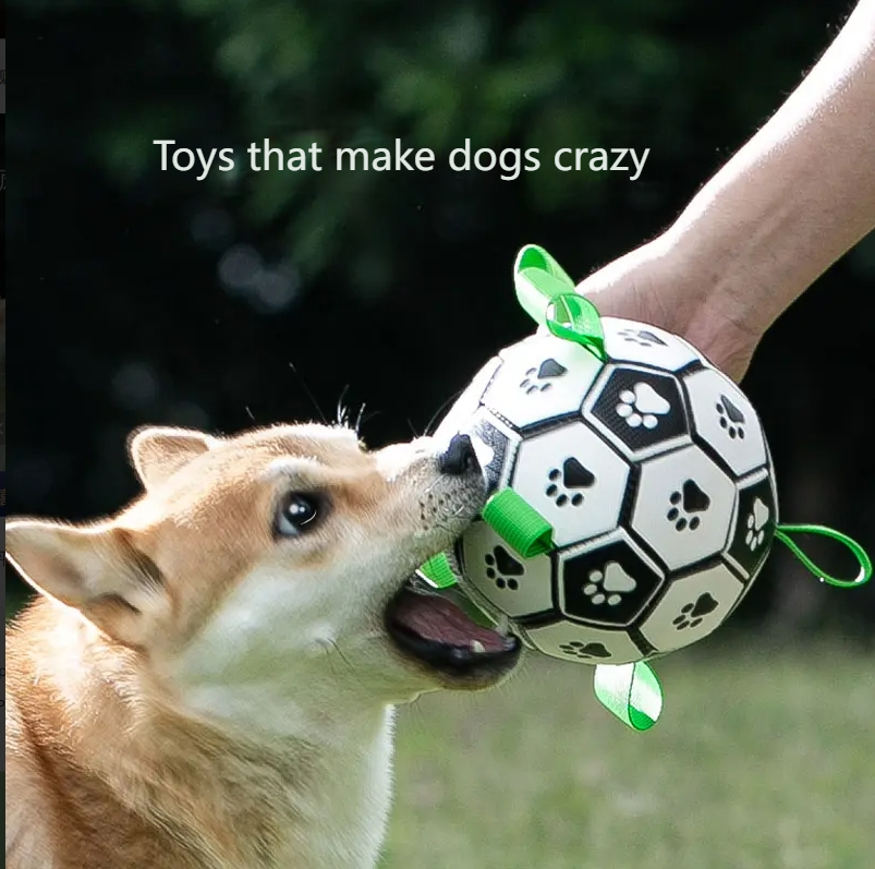 hipidogDog football toy training interactive border collie corgi rubber ball self-hi teeth grinding and biting training 4360-Make In China