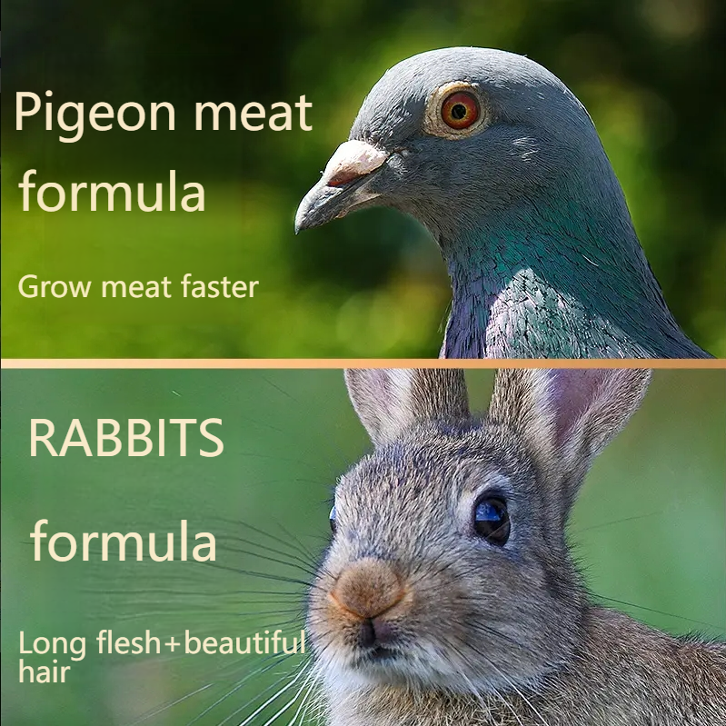 JOY PETS Pigeon Fresh Sen full price staple food cans cat food canned cat pet supplies staple food cans cat canned food-Make In China