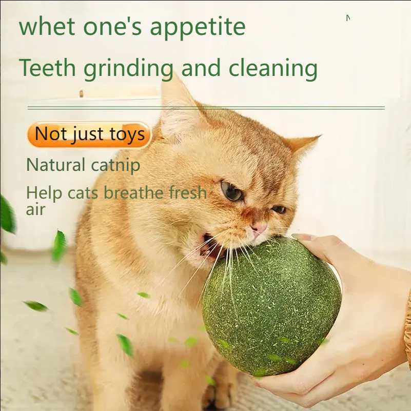 GUAZHOUMU [Pet Equipment] Mint Ball Cat Toy Cat Super Large Self-entertainment Artifact Cat Kitten Cat Toy Stick-Make In China