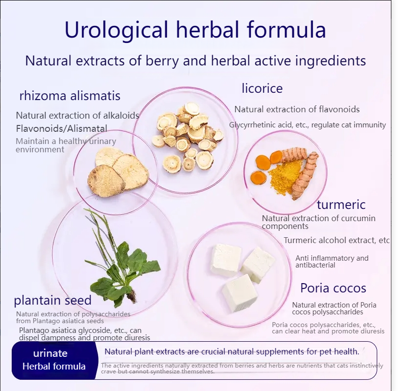 MYFOODIE Full price fresh meat staple food canned cat food 100g*60% kitten wet food easy to replenish water