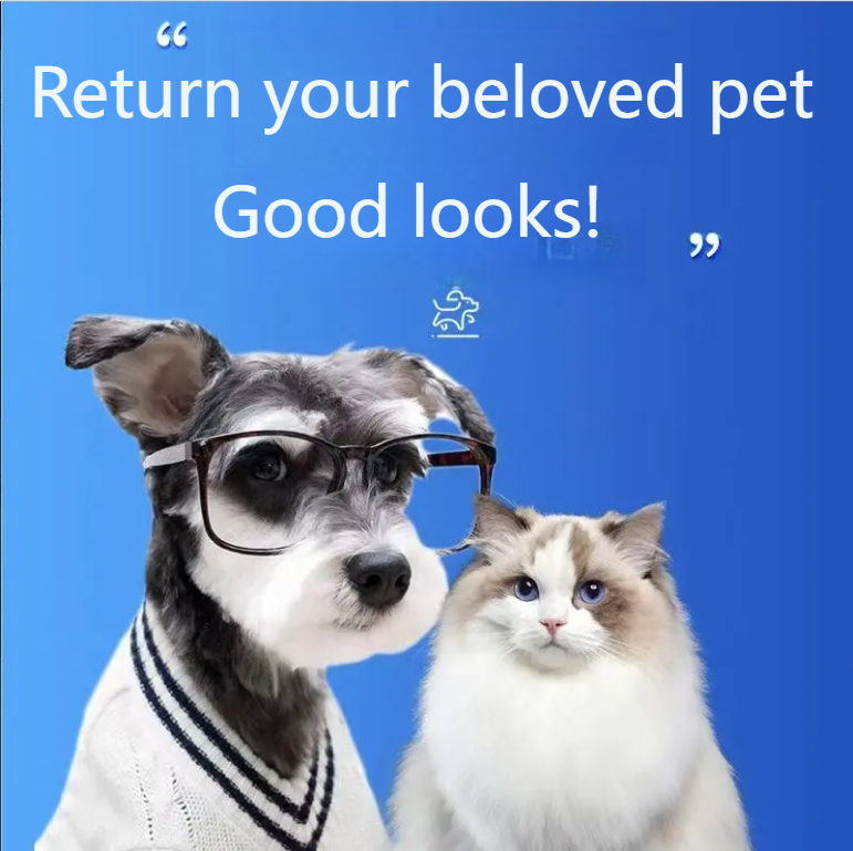 XUNXING Freeze-dried chicken breast, chicken cubes, chicken mince, healthy nutrition for cats and dogs, high-quality carefully selected chicken-Make In China