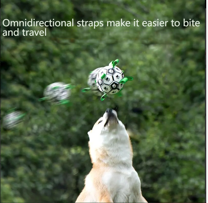 hipidogDog football toy training interactive border collie corgi rubber ball self-hi teeth grinding and biting training 4360-Make In China