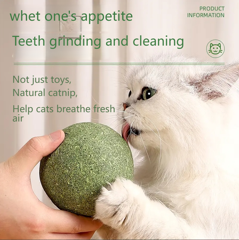 GUAZHOUMU [Pet Equipment] Mint Ball Cat Toy Cat Super Large Self-entertainment Artifact Cat Kitten Cat Toy Stick-Make In China
