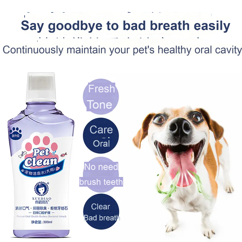 XUEDIAO 【Tooth cleaning water】Pet cat and dog tooth cleaning water mouthwash cleans the mouth and teeth antibacterial deodorant-Make In China