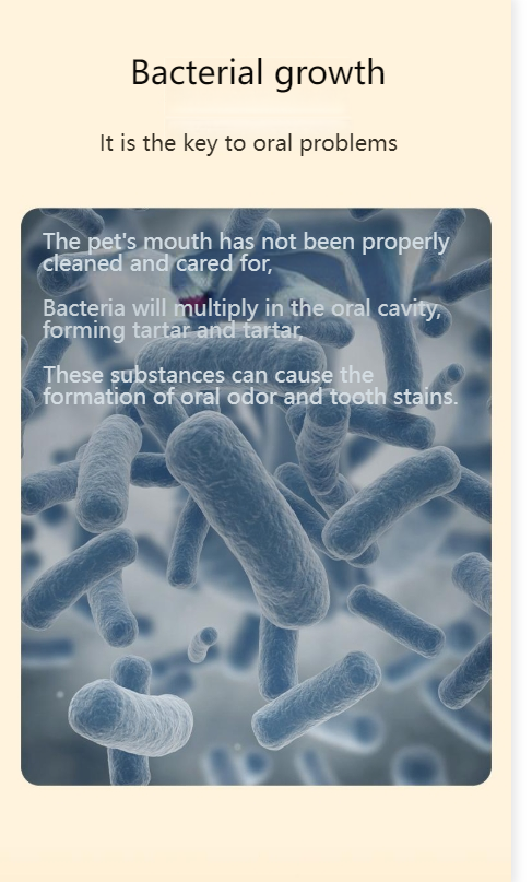 FUHUO G12 Fresh Freeze-dried Teething Sticks for Healthy Teeth and Hair Removal Cat Grass Flakes Small Nutritional Snacks for Dogs and Cats