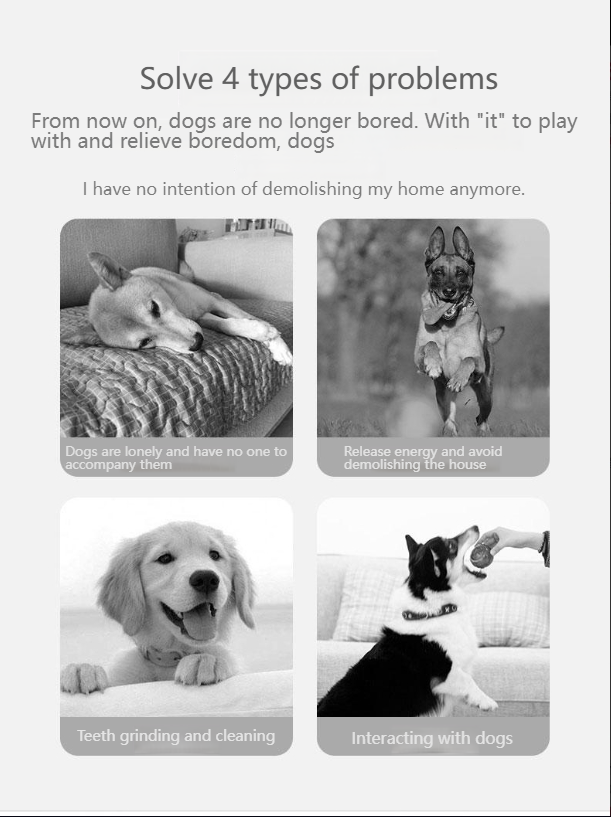 hipidogDog football toy training interactive border collie corgi rubber ball self-hi teeth grinding and biting training 4360-Make In China