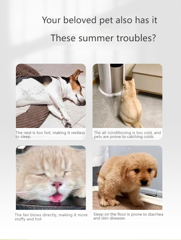 hipidog Pet summer cute fruit backrest nest for small and medium-sized dogs spring and summer mat cool mat breathable nest 4774