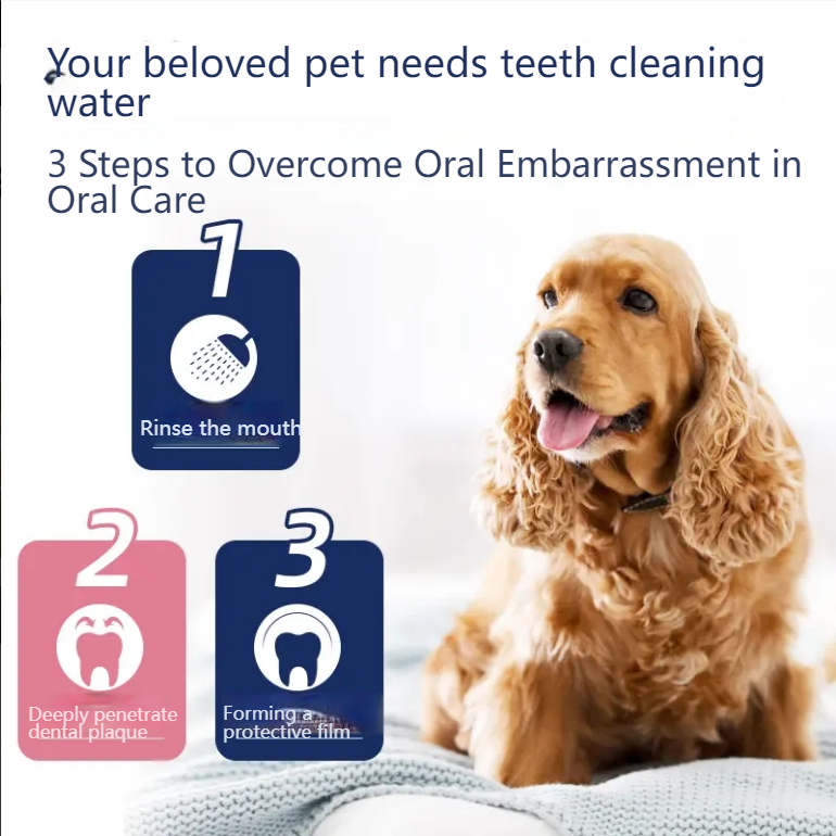 XUEDIAO 【Tooth cleaning water】Pet cat and dog tooth cleaning water mouthwash cleans the mouth and teeth antibacterial deodorant-Make In China