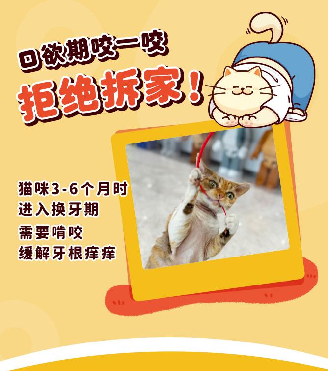 [Squid whisker cat teaser] Silicone simulated squid whisker cat teaser kitten toy self-entertainment (peripheral)-Make In China