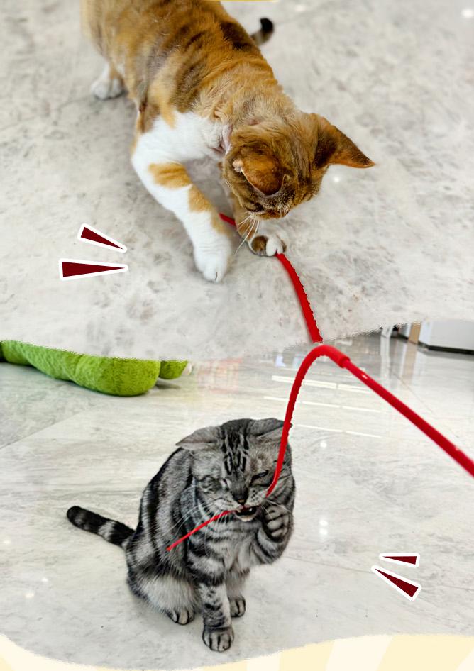 [Squid whisker cat teaser] Silicone simulated squid whisker cat teaser kitten toy self-entertainment (peripheral)-Make In China